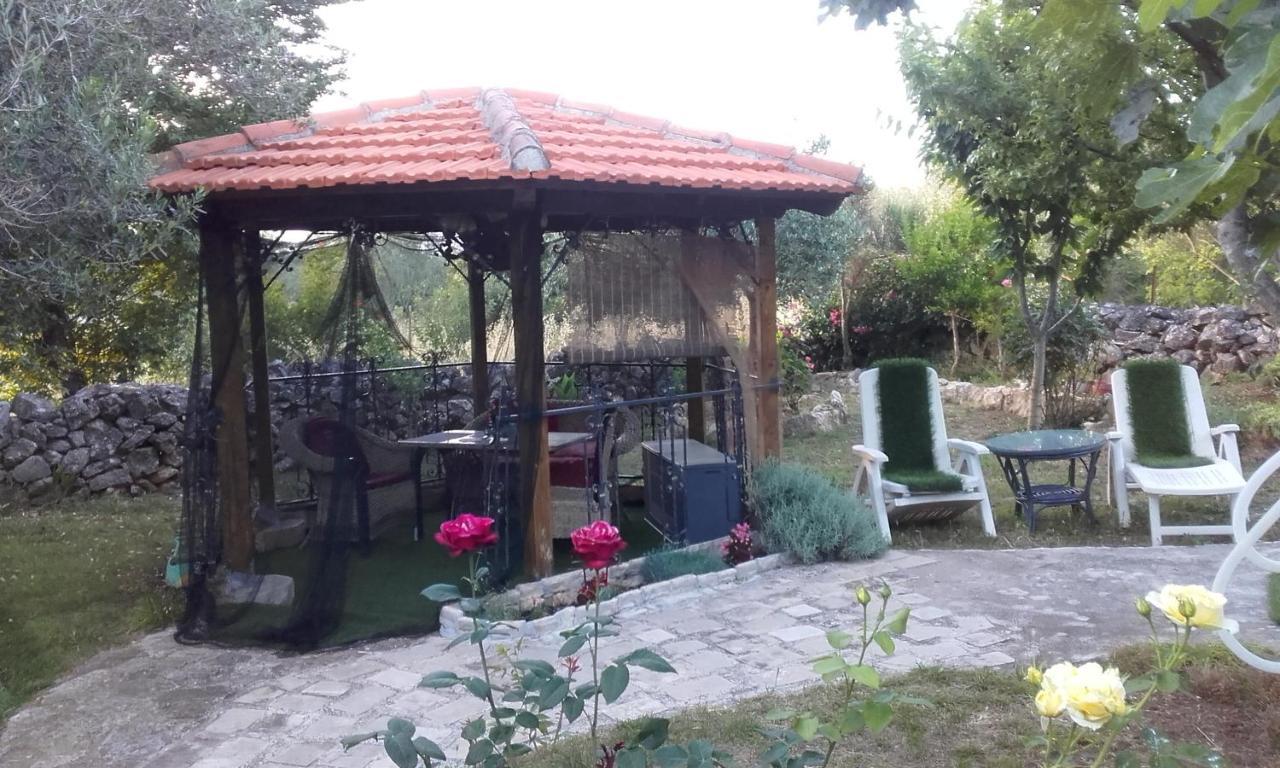 Apartments Branimir Zadar Eksteriør billede